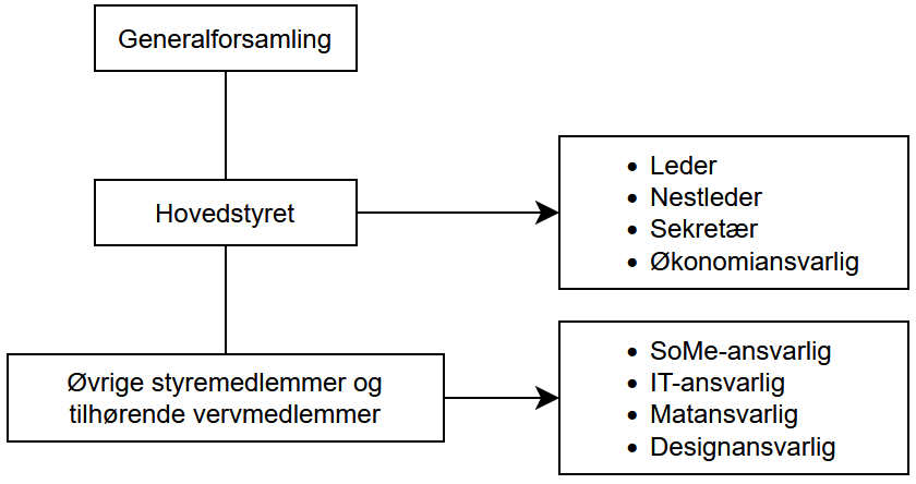 Organisasjonskart som viser strukturen i VSAiT